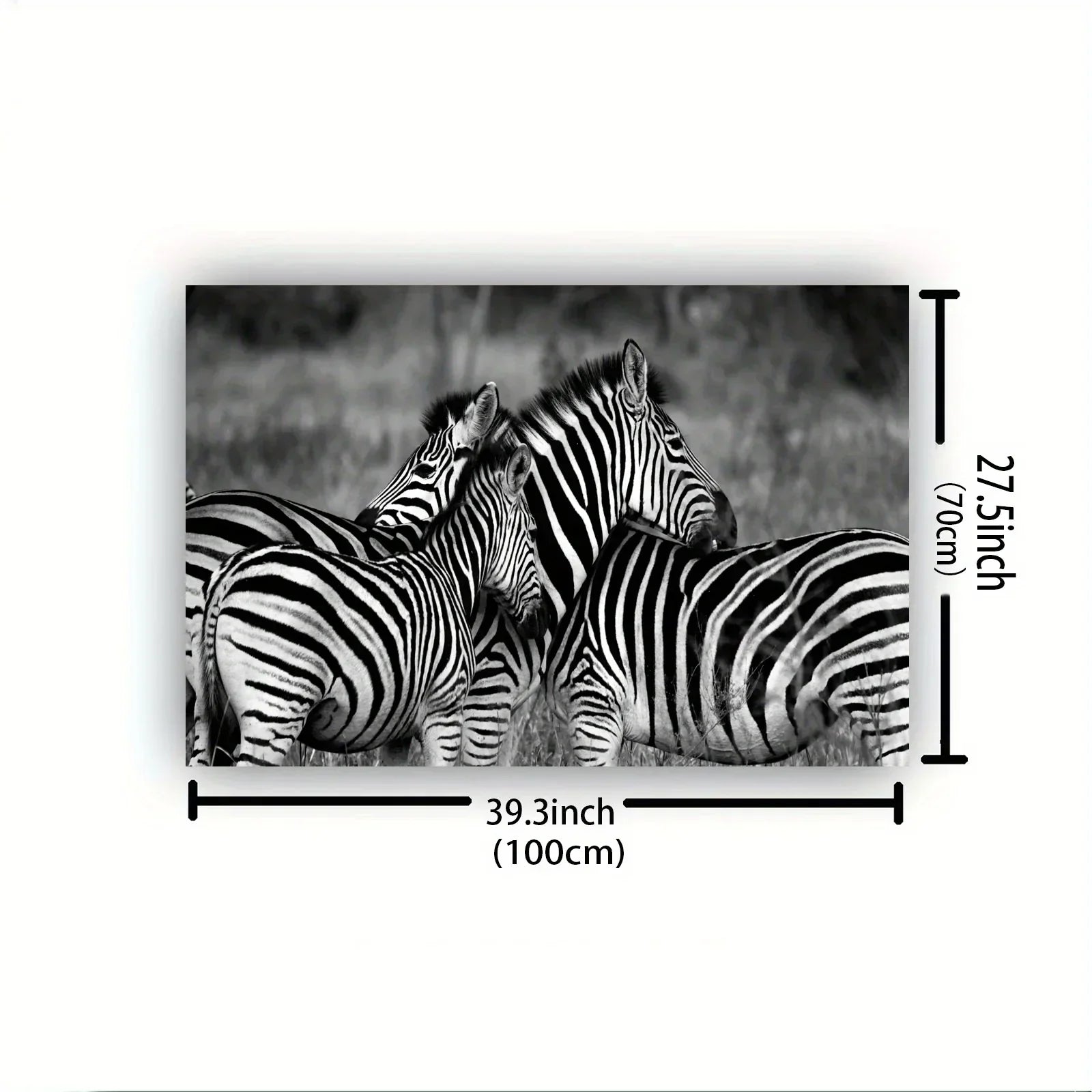 Vintage Gentle Zebra Postercanvas Print Poster, Perfect Aesthetic Accent, Vibrant Artwork for Gift, Home... - House Of Avana