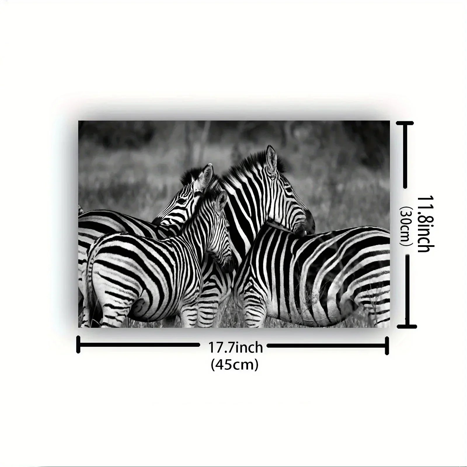 Vintage Gentle Zebra Postercanvas Print Poster, Perfect Aesthetic Accent, Vibrant Artwork for Gift, Home... - House Of Avana