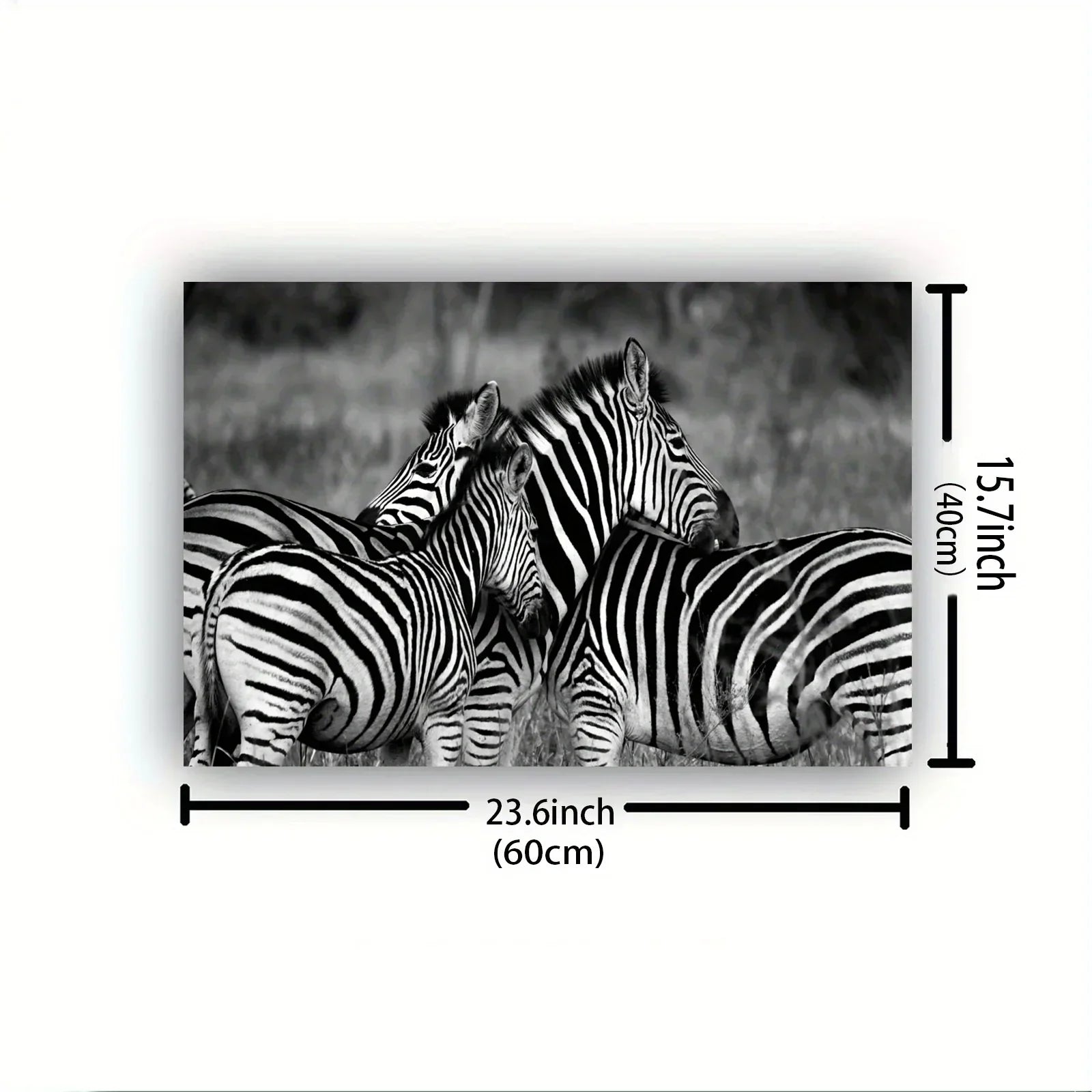 Vintage Gentle Zebra Postercanvas Print Poster, Perfect Aesthetic Accent, Vibrant Artwork for Gift, Home... - House Of Avana