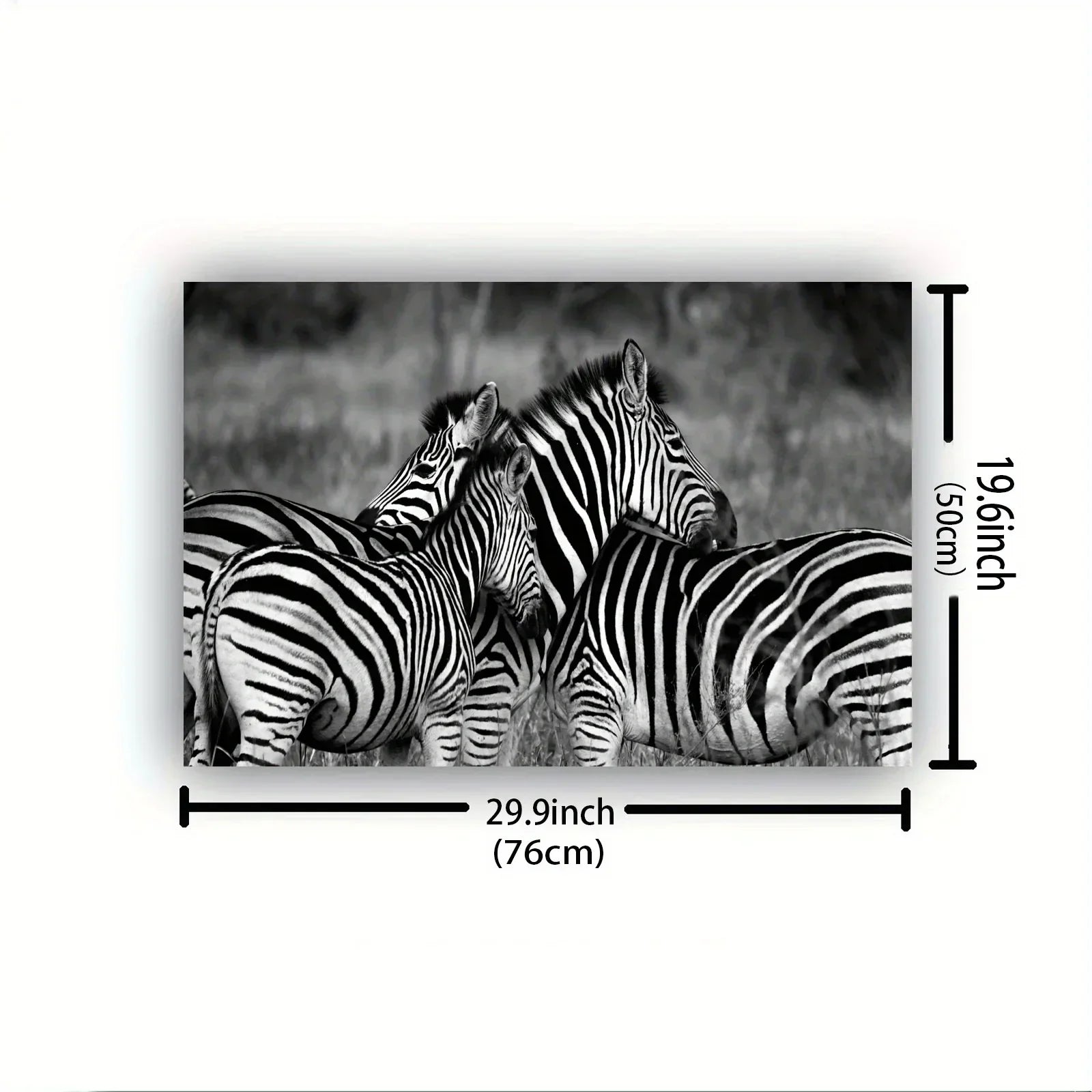 Vintage Gentle Zebra Postercanvas Print Poster, Perfect Aesthetic Accent, Vibrant Artwork for Gift, Home... - House Of Avana