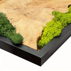 Green preserved moss wall art on natural wood, unique grain patterns, rustic rectangular frame - House of Avana