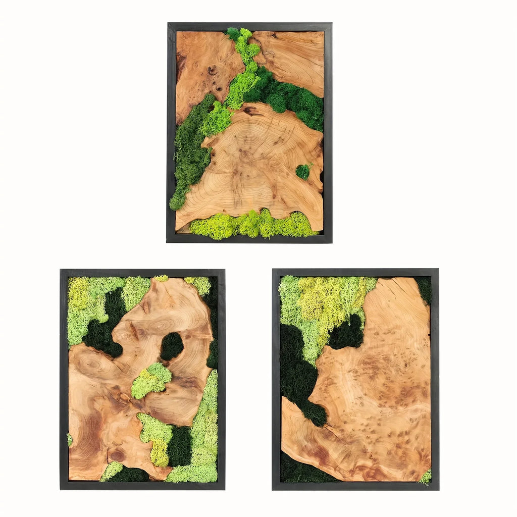 Green preserved moss wall art on natural wood, unique grain patterns, rustic rectangular frame - House of Avana