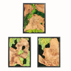 Green preserved moss wall art on natural wood, unique grain patterns, rustic rectangular frame - House of Avana