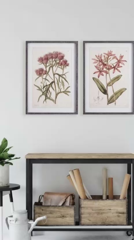Botanical floral wall art prints and paintings displayed on white wall - House of Avana paintings and posters collection