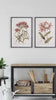Botanical floral wall art prints and paintings displayed on white wall - House of Avana paintings and posters collection