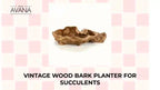 Vintage Wood Bark Planter for Succulents by@Outfy