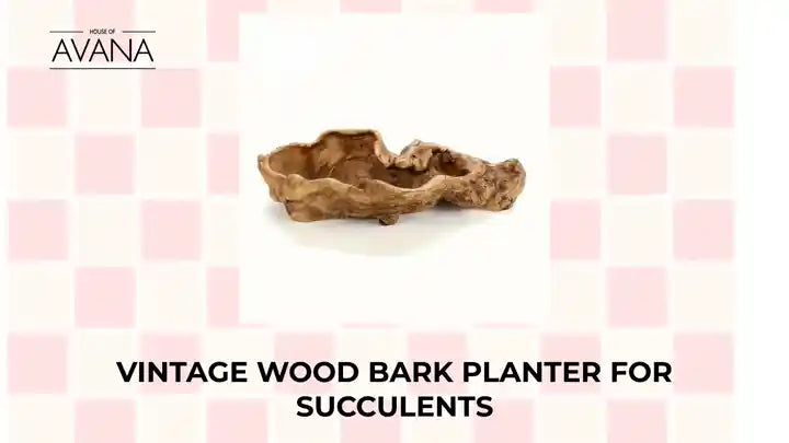 Vintage Wood Bark Planter for Succulents by@Outfy