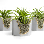 PYRITE GEODE PLANTER AURA 8 HOME