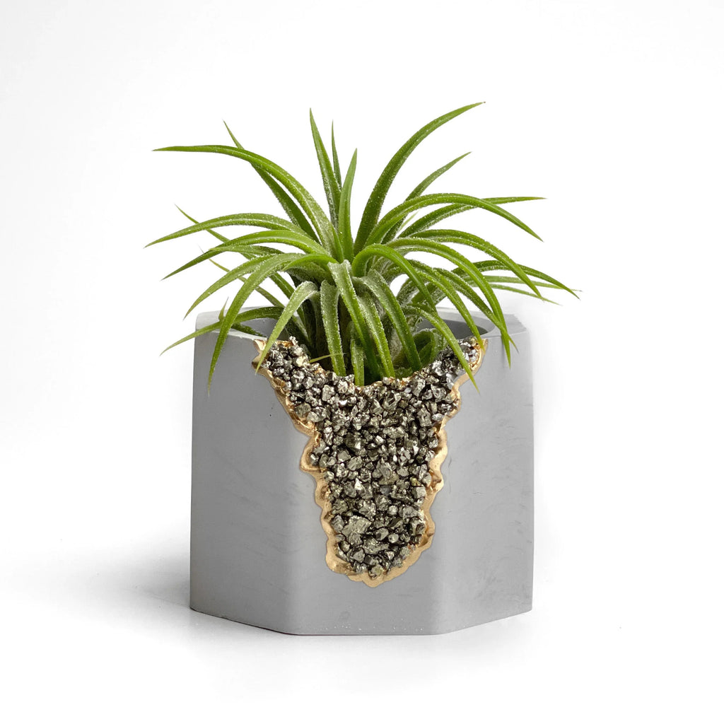 PYRITE GEODE PLANTER AURA 8 HOME