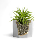 PYRITE GEODE PLANTER AURA 8 HOME