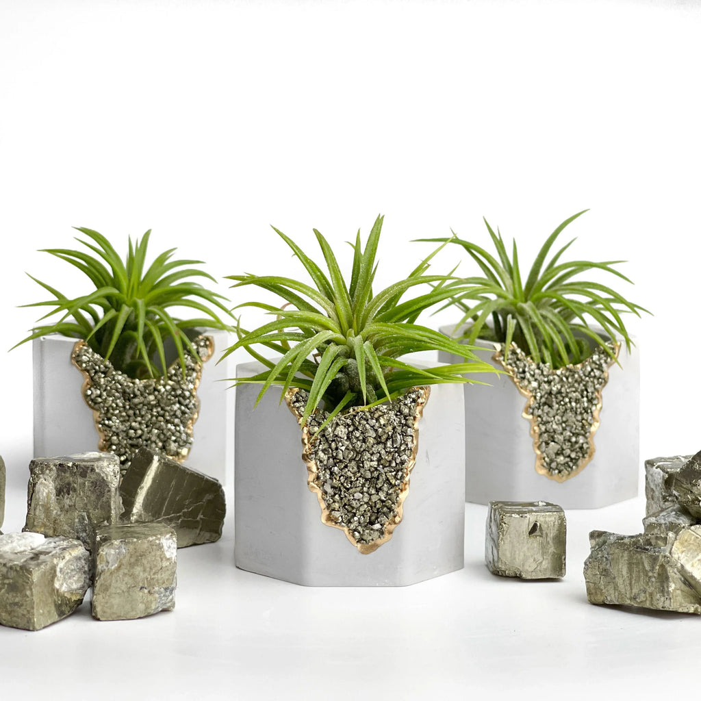 PYRITE GEODE PLANTER AURA 8 HOME