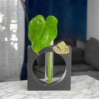 Pyrite Propagation Station, detail shot - House Of Avana