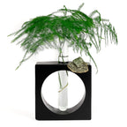 PYRITE PROPAGATION STATION AURA 8 HOME