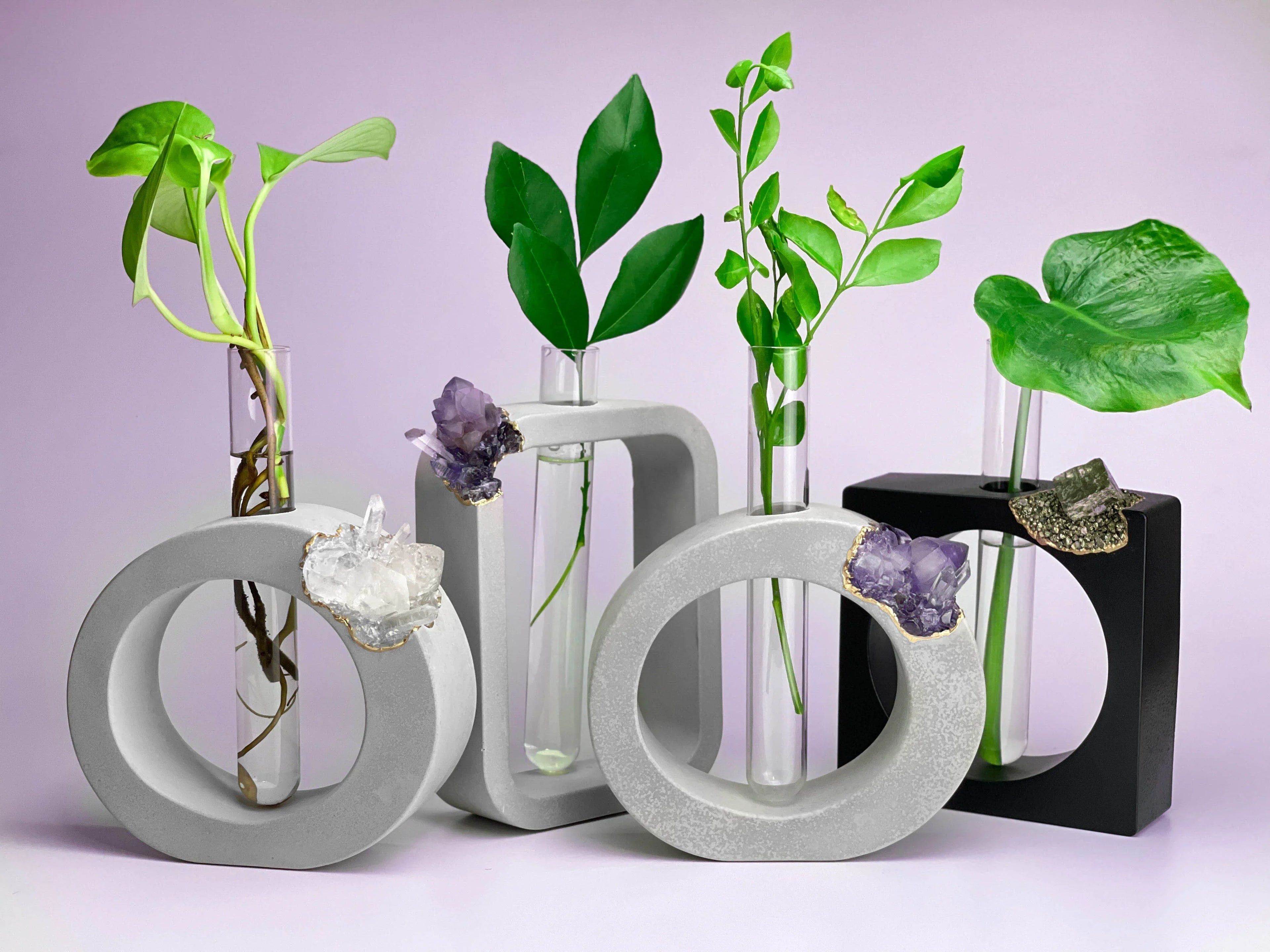 PYRITE PROPAGATION STATION AURA 8 HOME