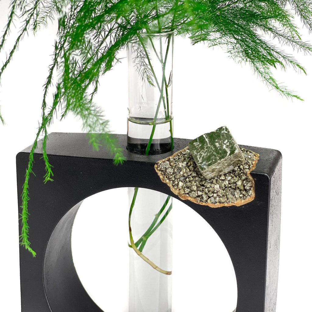 PYRITE PROPAGATION STATION AURA 8 HOME