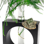 PYRITE PROPAGATION STATION AURA 8 HOME