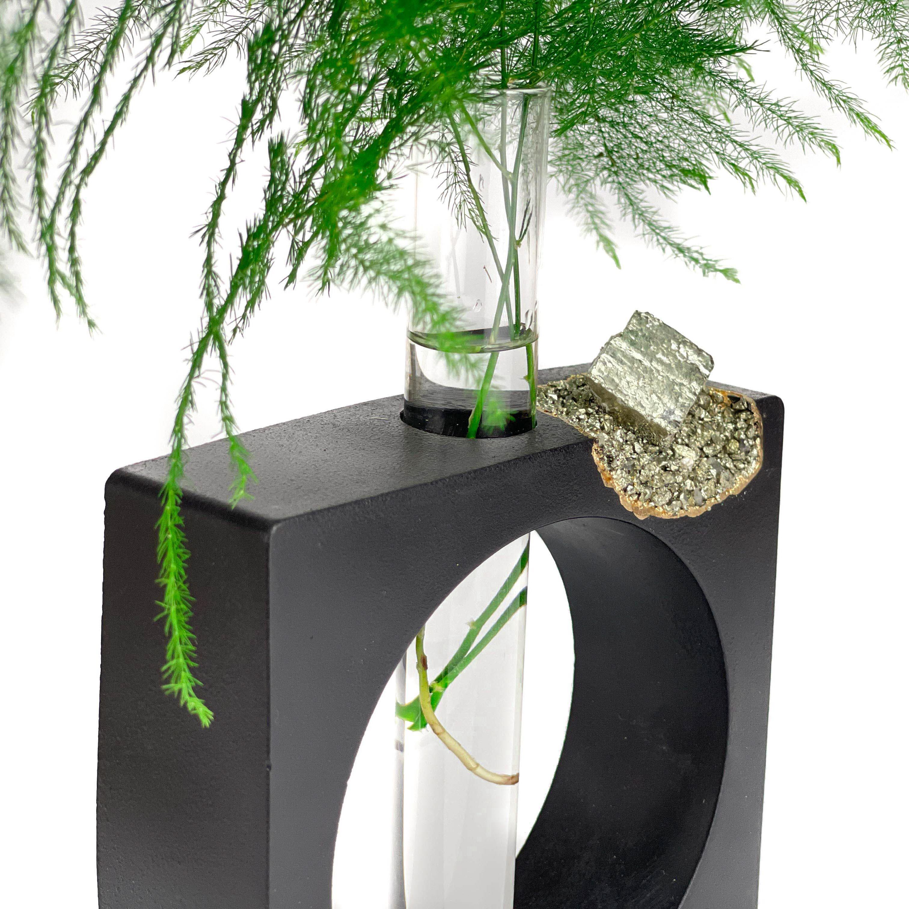 PYRITE PROPAGATION STATION AURA 8 HOME