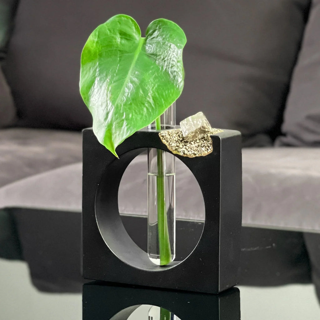 PYRITE PROPAGATION STATION AURA 8 HOME