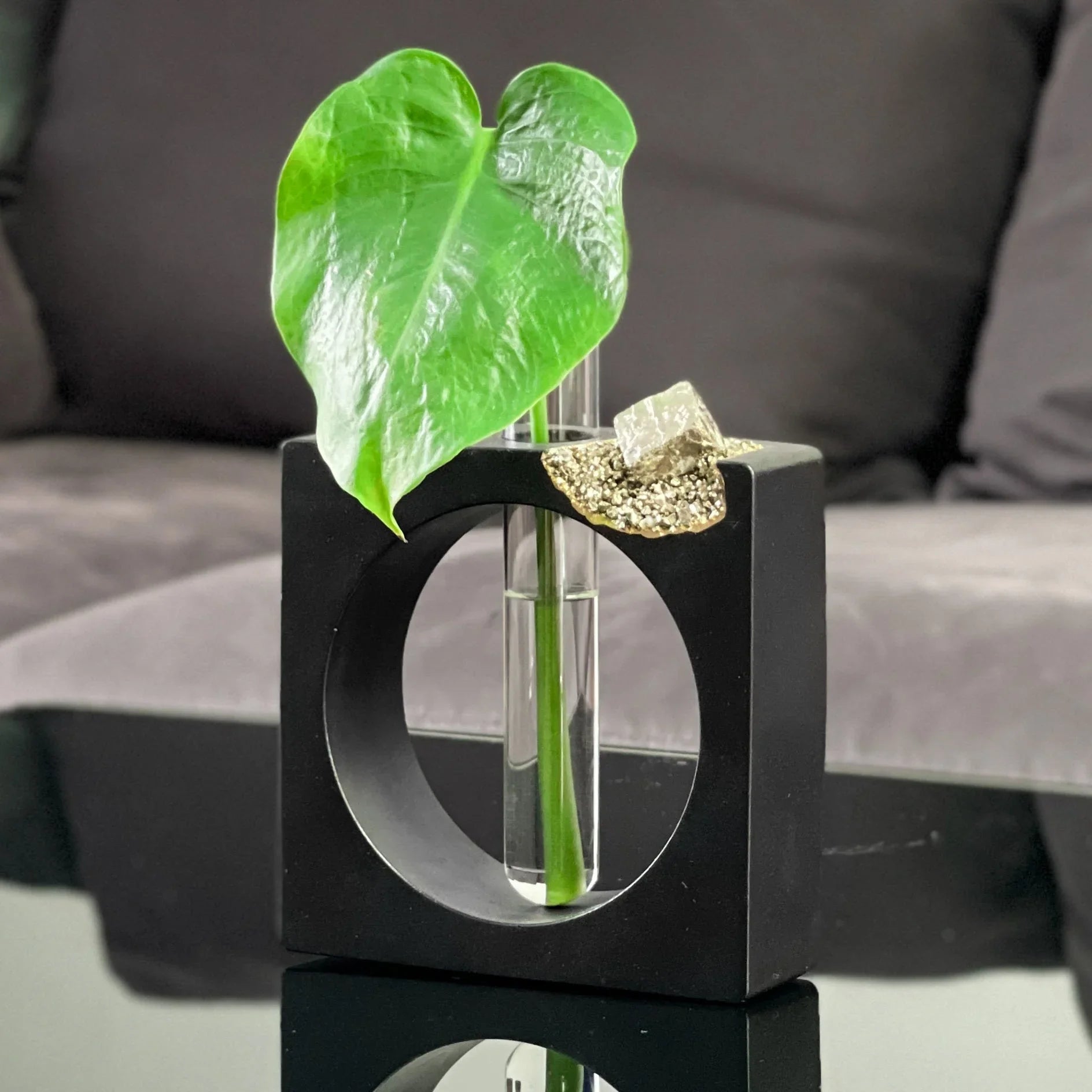 PYRITE PROPAGATION STATION AURA 8 HOME