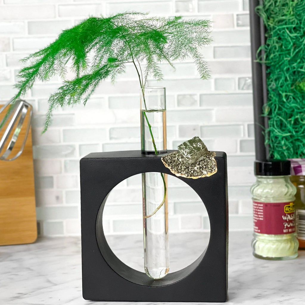 PYRITE PROPAGATION STATION AURA 8 HOME