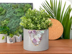 6" FLUORITE GEODE PLANTER AURA 8 HOME