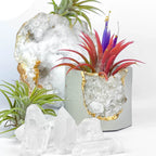 Raw Clear Quartz Geode Planter, back view - House Of Avana
