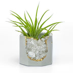 Raw Clear Quartz Geode Planter, side view - House Of Avana