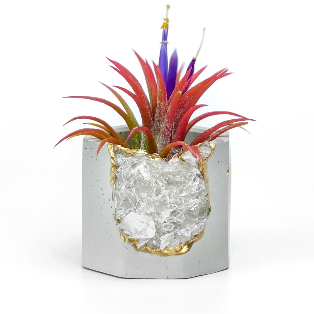 Raw Clear Quartz Geode Planter, detail shot - House Of Avana