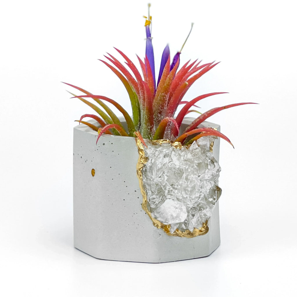 Raw Clear Quartz Geode Planter, lifestyle image - House Of Avana