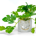 Raw Clear Quartz Geode Planter, top view - House Of Avana
