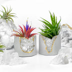 Raw Clear Quartz Geode Planter, angled view - House Of Avana