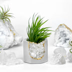 Raw Clear Quartz Geode Planter, angled view - House Of Avana