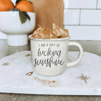 Ray of F'n Sunshine