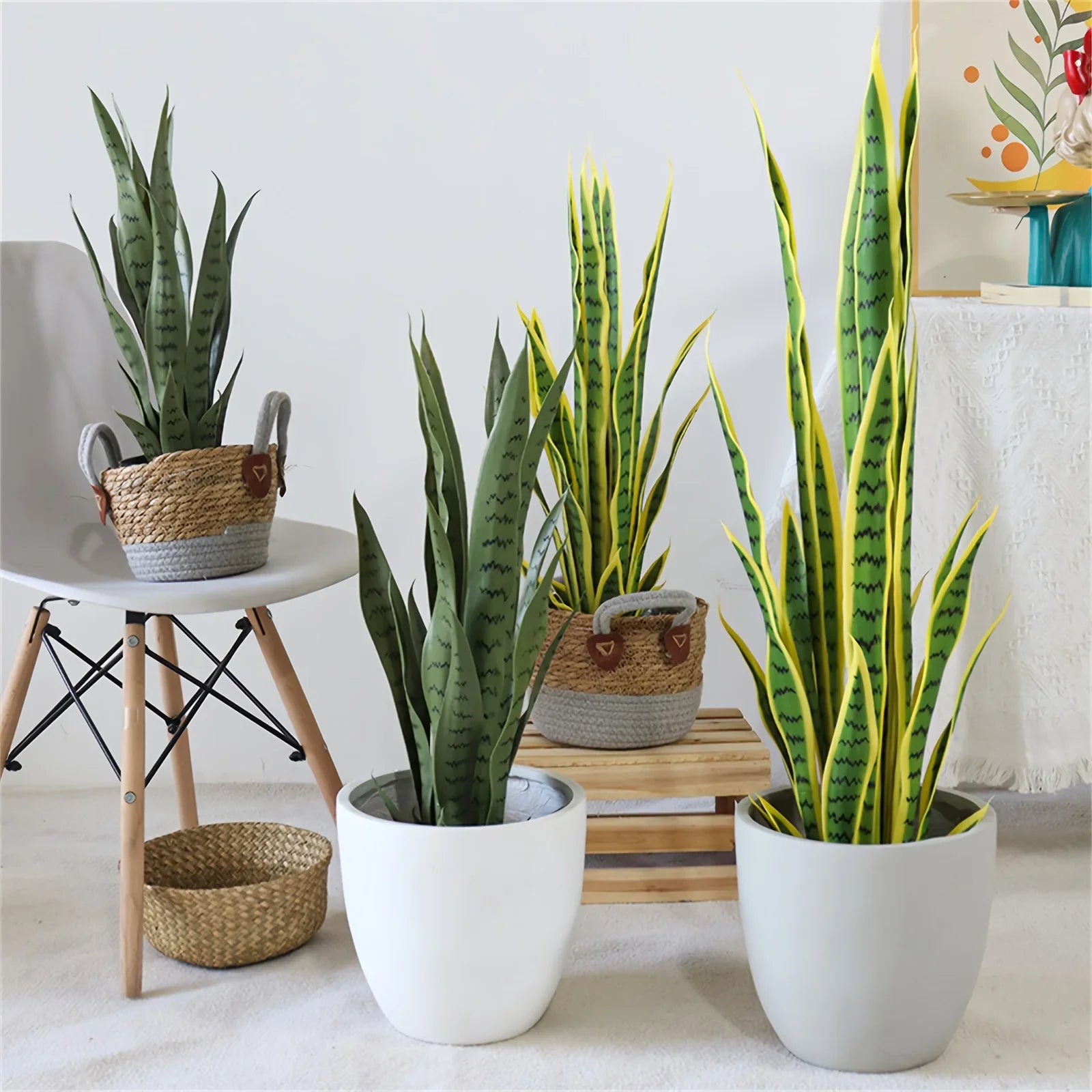 Realistic Artificial Snake Plant with Pot - Variegated Green & Yellow Sansevieria Fake Tree, Low-Maintenance Plastic Indoor/Outdoor Houseplant for Home Office Garden Decor, Year-Round Floor or Tabletop Decoration (No Maintena House Of Avana