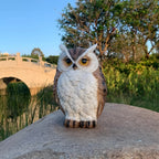 1 Set Realistic Resin Owl Statue - Outdoor Garden Bird Deterrent & Decorative Sculpture, Lifelike Owl Sculpture with Expressive Eyes, Durable Lawn & Patio Decor, Bird Repellent Device, No Batteries/Electricity, Perfect Gift f House Of Avana