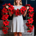 Artificial Poinsettia Vine Garland, 239.78cm Red for Indoor/outdoor Use, front view - House Of Avana