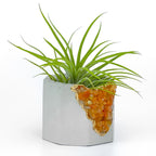 RED AVENTURINE GEODE PLANTER AURA 8 HOME