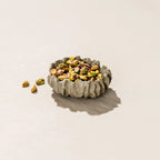 Reef Trinket Dish