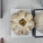 Modern Halloween Multifunctional Resin Art Piece, Suitable for Office or Display Room, Halloween... - House Of Avana