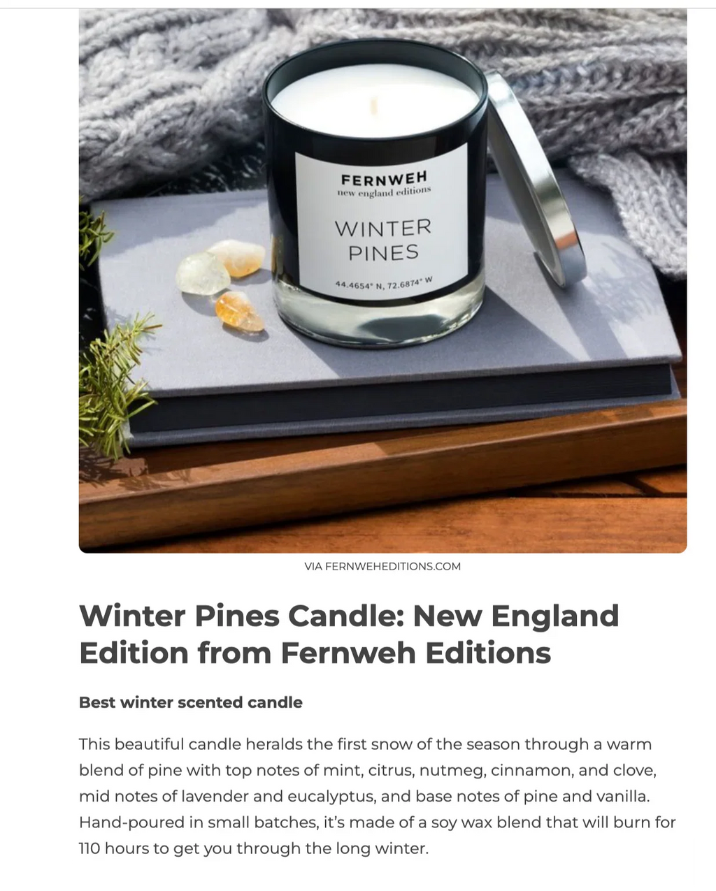 Roaring Fireplace Scented Soy Candle Fernweh Editions