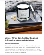 Roaring Fireplace Scented Soy Candle Fernweh Editions