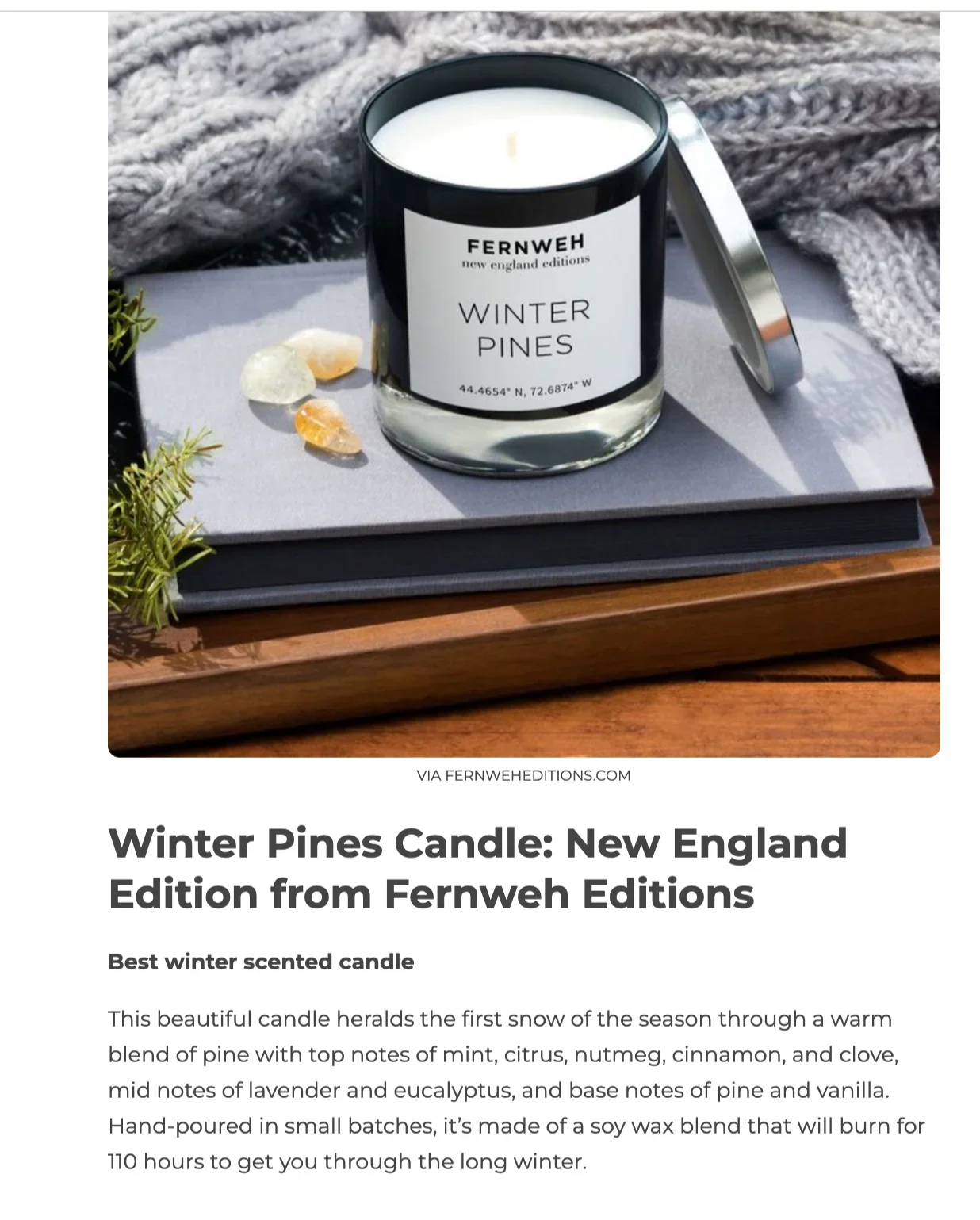 Roaring Fireplace Scented Soy Candle Fernweh Editions