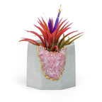 Rose Quartz Geode Planter - House Of Avana