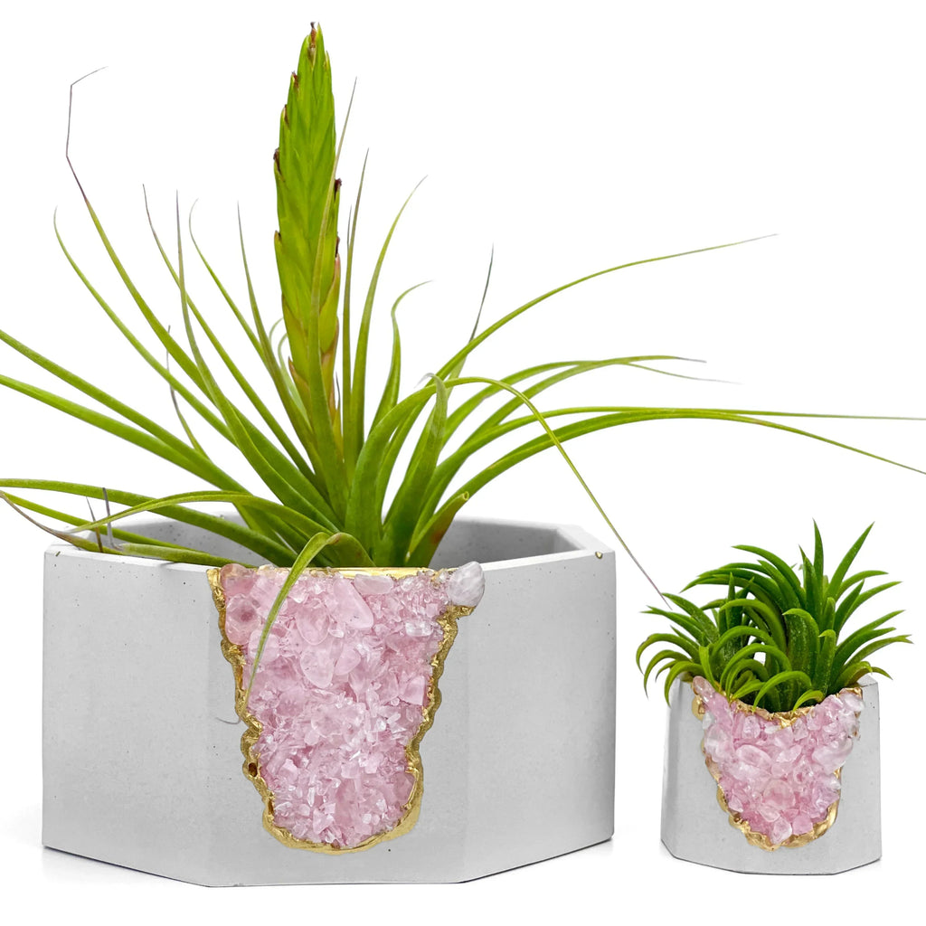 Rose Quartz Geode Planter Natural Stone Crystal Formation Home Decor, back view - House Of Avana