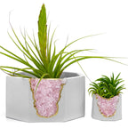 Rose Quartz Geode Planter Natural Stone Crystal Formation Home Decor, back view - House Of Avana