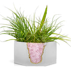 Rose Quartz Geode Planter Natural Stone Crystal Formation Home Decor, lifestyle image - House Of Avana