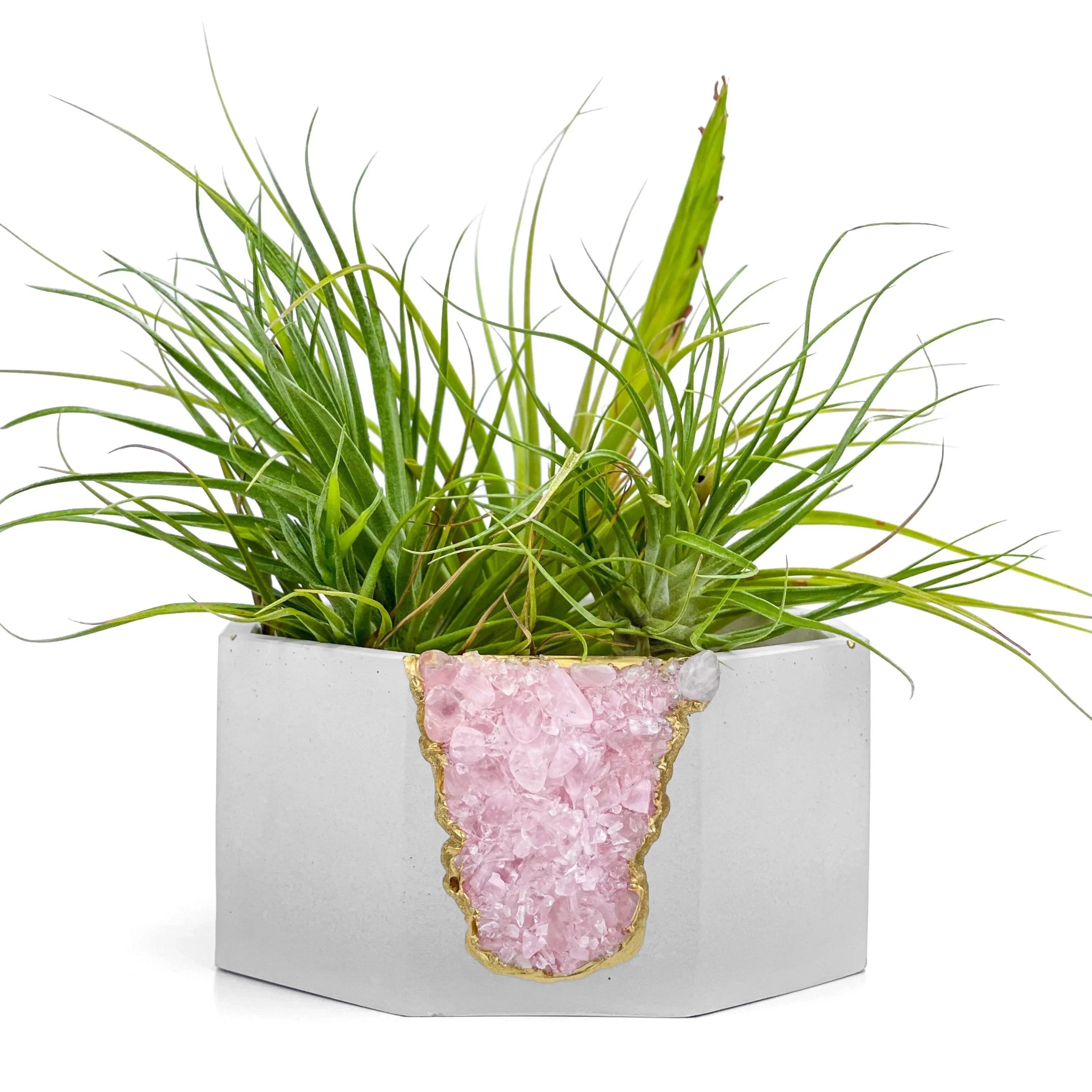 Rose Quartz Geode Planter Natural Stone Crystal Formation Home Decor, lifestyle image - House Of Avana