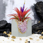 Rose Quartz Geode Planter Natural Stone Crystal Vessel, front view - House Of Avana