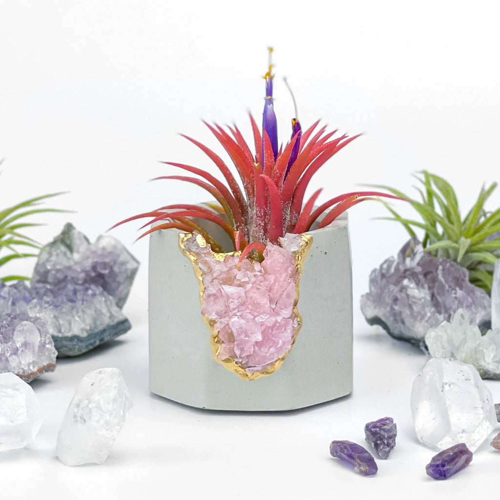 Rose Quartz Geode Planter Natural Stone Crystal Vessel, back view - House Of Avana