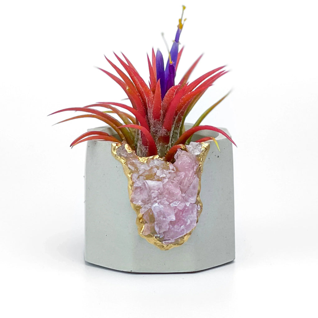 Rose Quartz Geode Planter Natural Stone Crystal Vessel, detail shot - House Of Avana